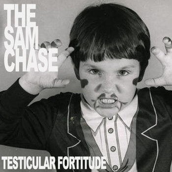 Testicular Fortitude album cover